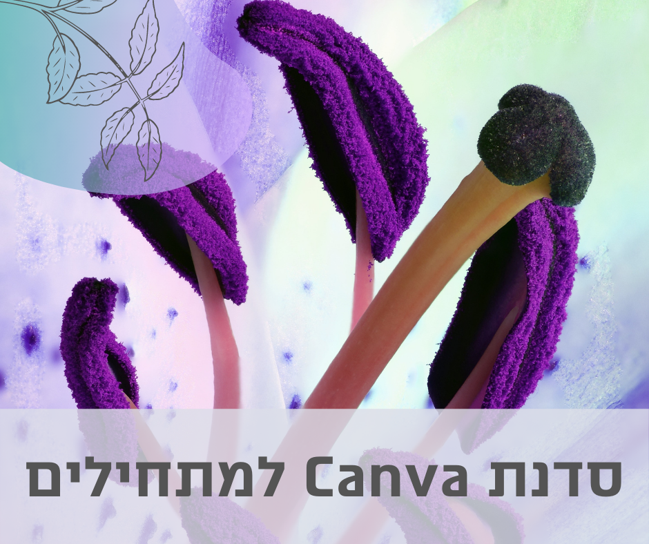 סדנת עיצוב ו-Canva למתחילים