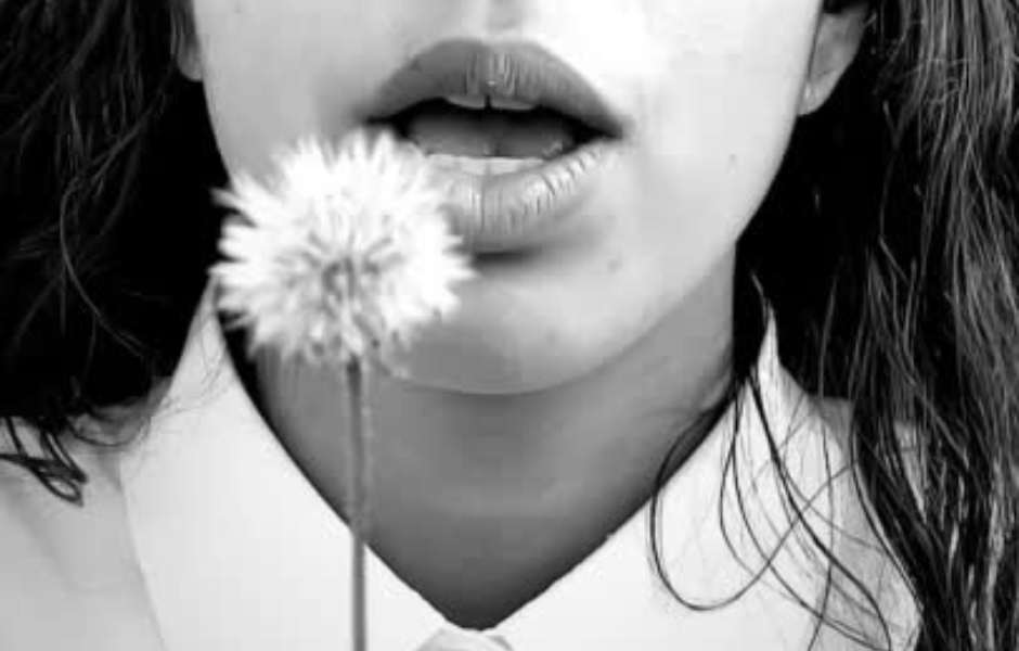 נקודות האור שלי