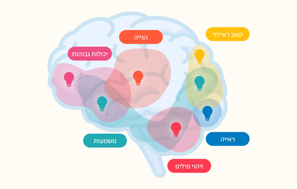 ספריית פיג'מה